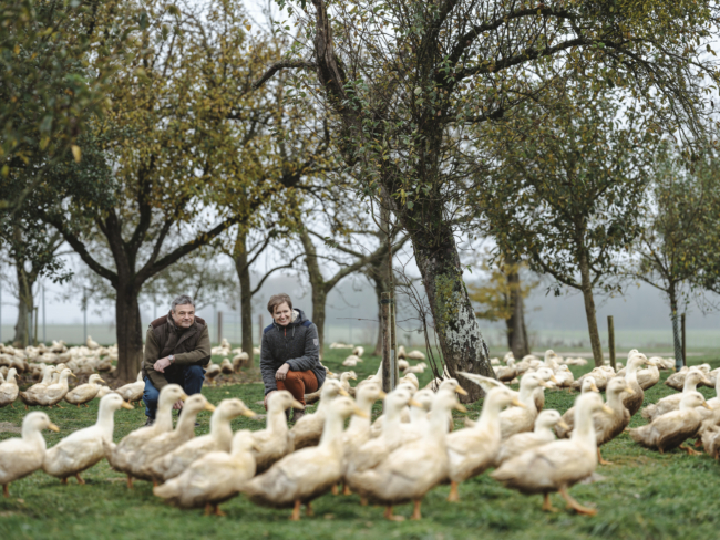 Bio-Enten Familie Forstner