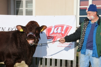 Ja! Natürlich ersteigert zum 12. Mal Elite-Zuchtstier beim Herbststiermarkt in Maishofen