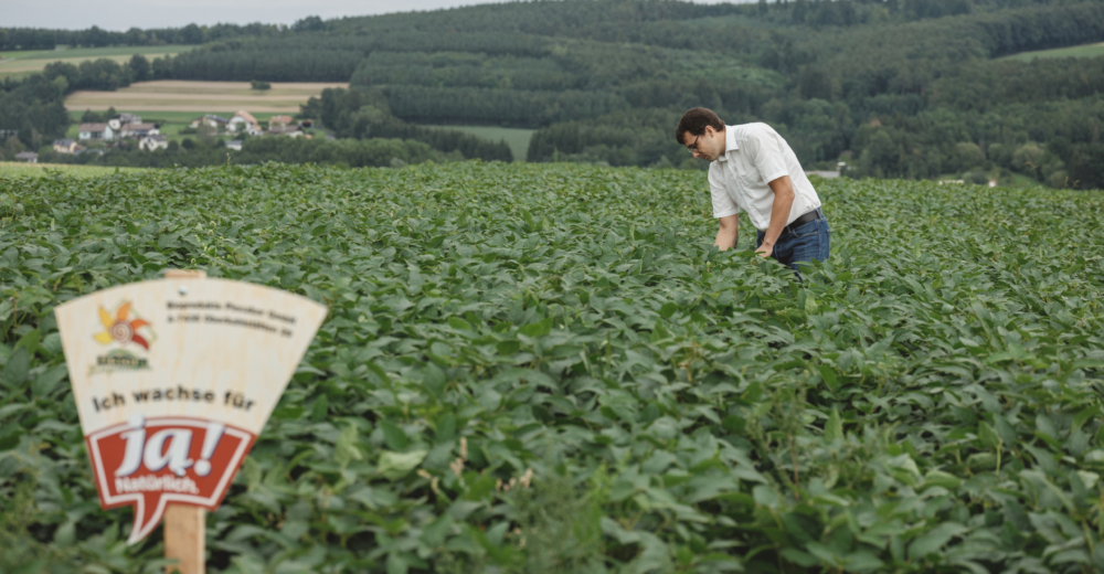 Florian Pessenlehner Soja