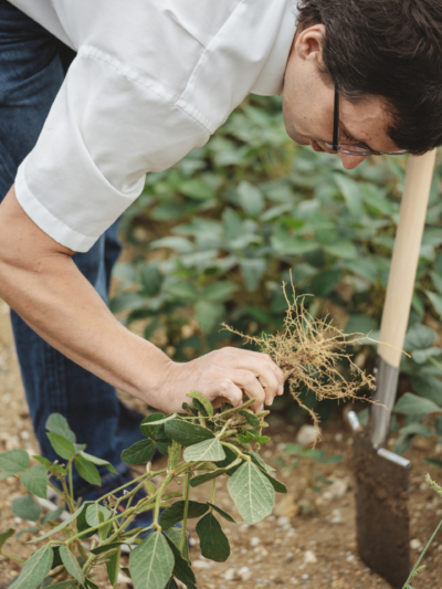 Florian Pessenlehner Soja