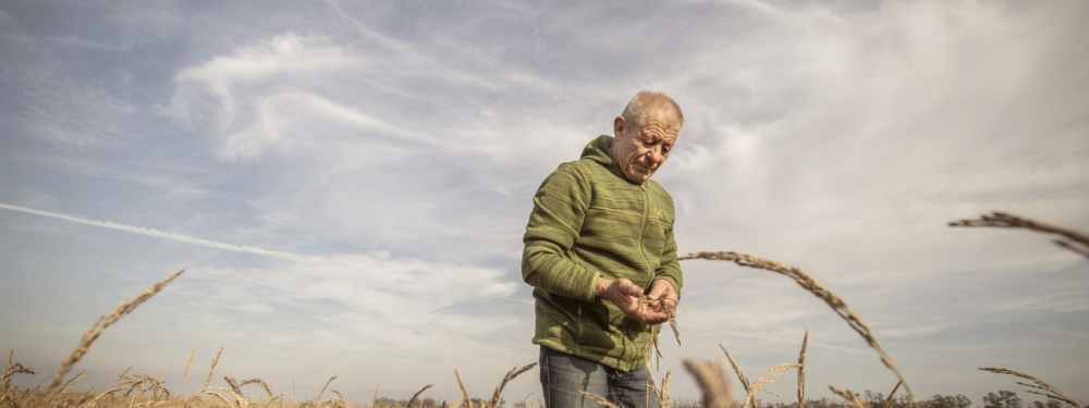 Seewinkler Reis Erwin Unger