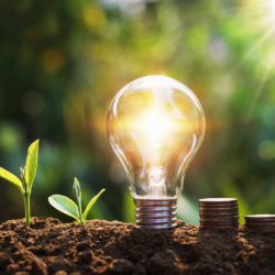 Energiespartag Glühbirne