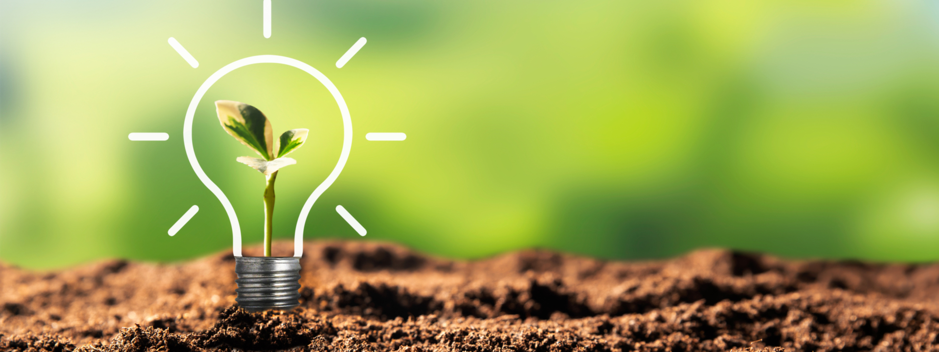 Header Energiespartag mit Glühbirne