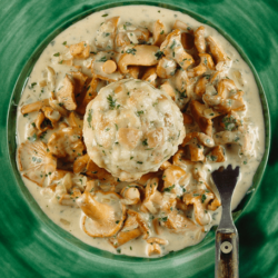 Knödel mit Eierschwammerlsauce auf einem Teller.