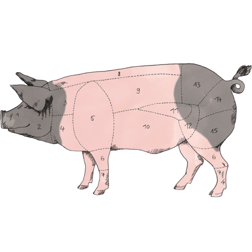 Skizze eines Schweins mit nummerierten Fleischteilen.