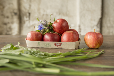 Green Packaging Apfel