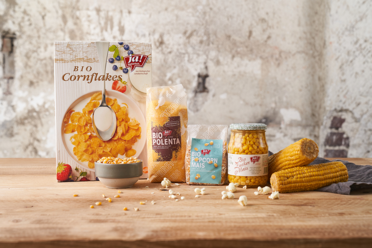 Popcornmais aus Niederösterreich