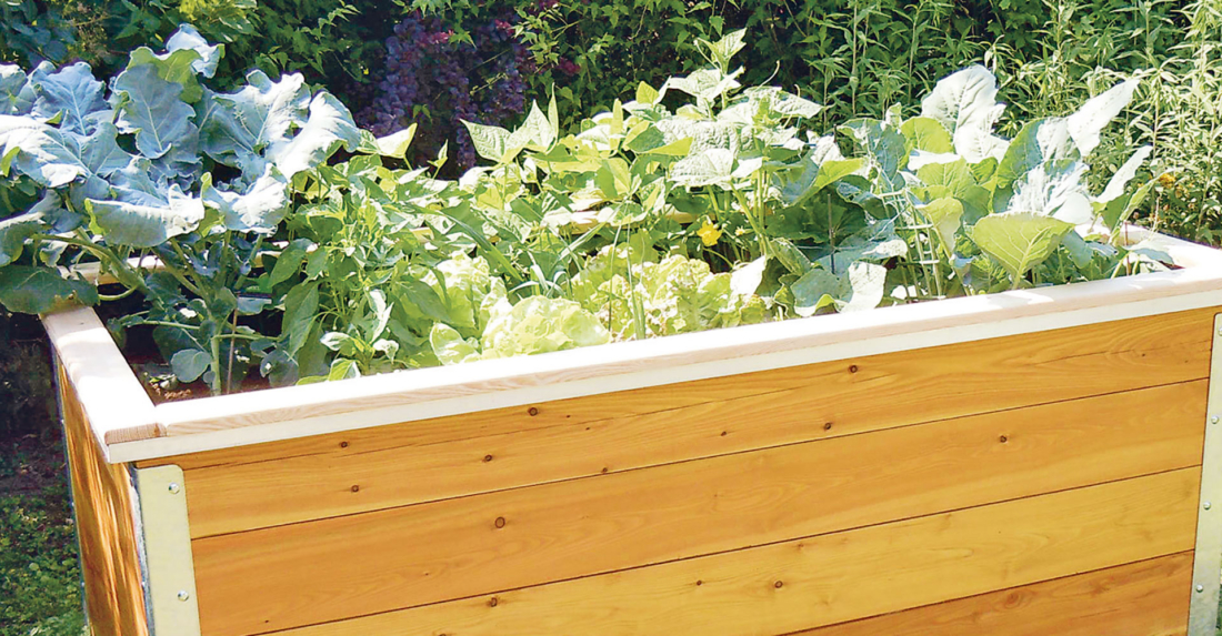 Geheimwaffe Hochbeet