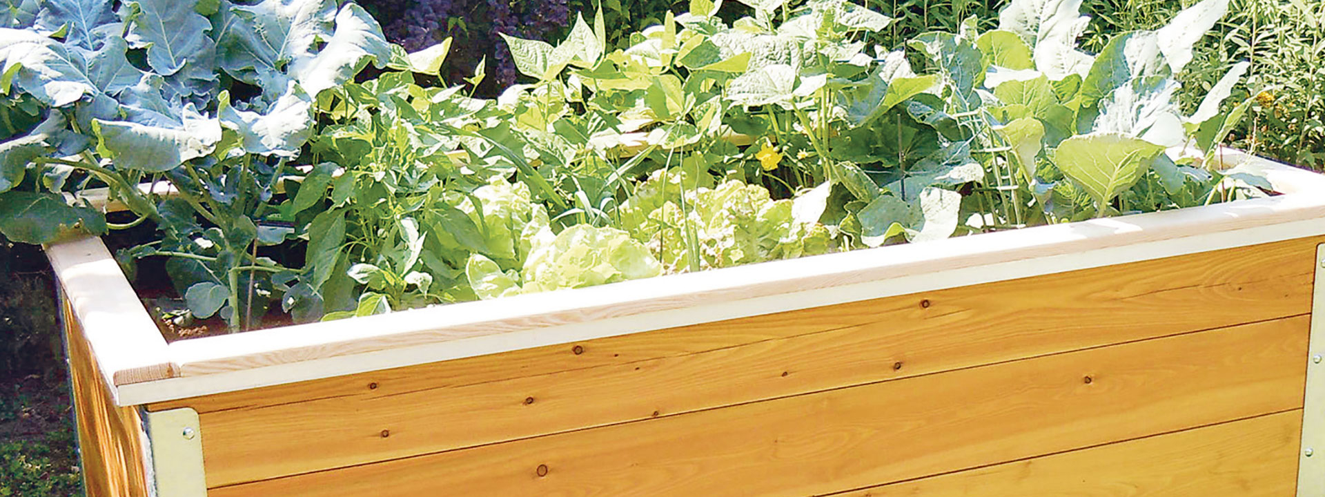 Ein Hochbeet.