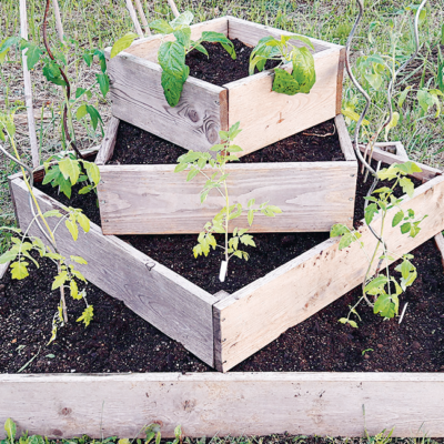 Ein Stufenhochbeet mit Setzlingen.