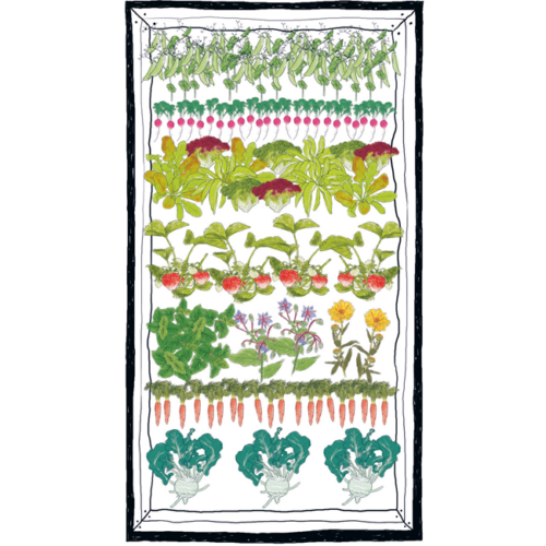 Eine Zeichnung eines Hochbeetes mit verschiedenen Gemüsepflanzen.