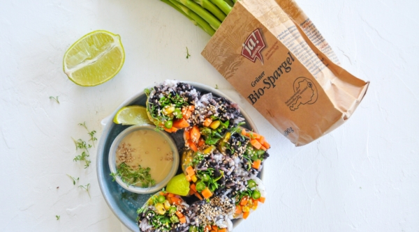 Sommerrollen mit Reis & knackigem Gemüse