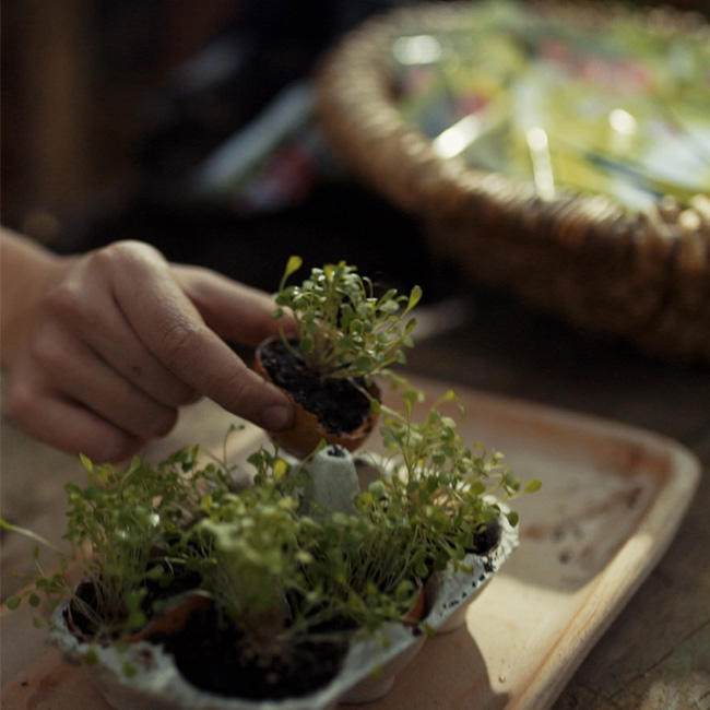 Bio-Garten Tutorial: Wir bauen ein Mini-Gewächshaus
