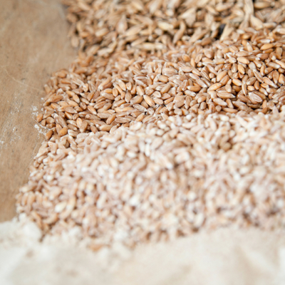 Verschiedene Getreidesorten.