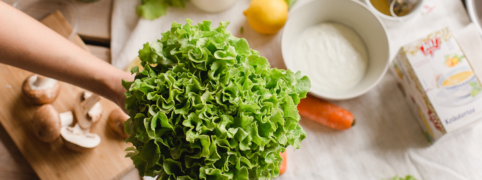 Jemand hält einen Bio-Salatkopf in der Hand.