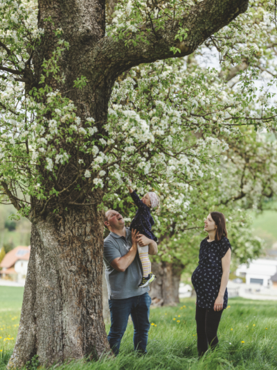 Tochter von Familie Hofer greift zu den Blüten am Obstbaum - Ja! Natürlich