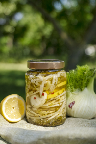 fermentierter Fenchel Karma Food