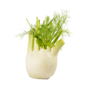 Bio-Fenchel