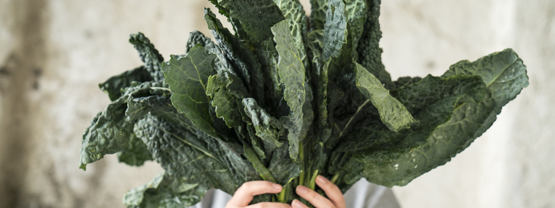 Jemand hält einen Bund Bio-Schwarzkohl.