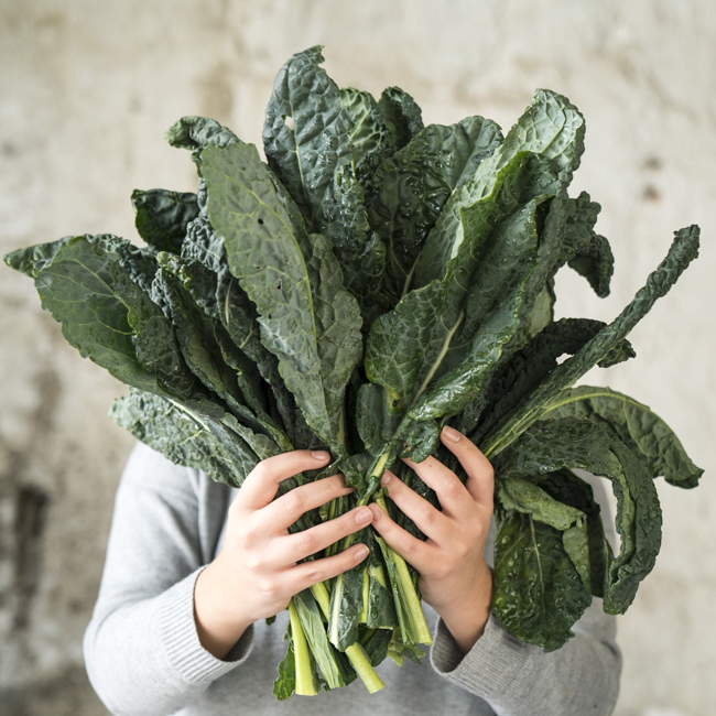 Bio-Schwarzkohl: Das saisonale Superfood