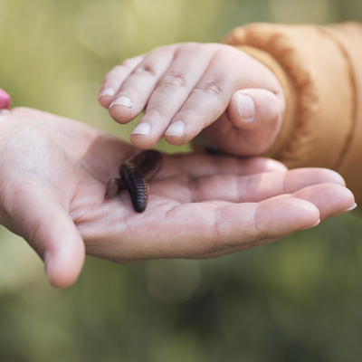 Ein Kind greift nach einem Regenwurm.