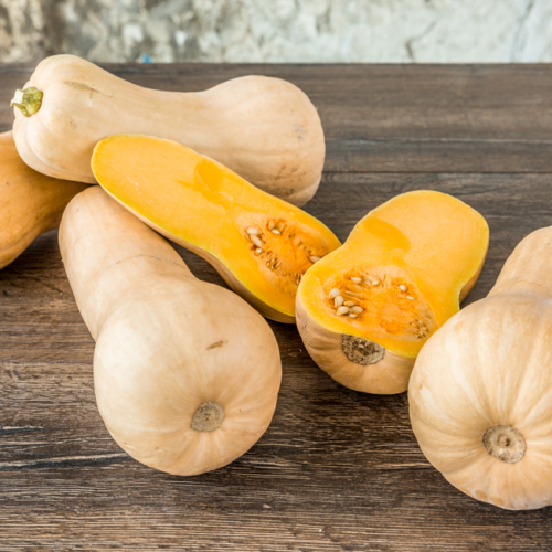 Bio-Butternut-Kürbisse auf einem Tisch