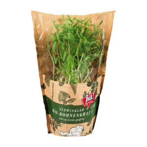 Bio-Bohnenkraut