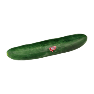 Bio-Feldgurke