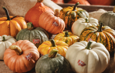 Bunte Bio-Kürbisse von Ja! Natürlich