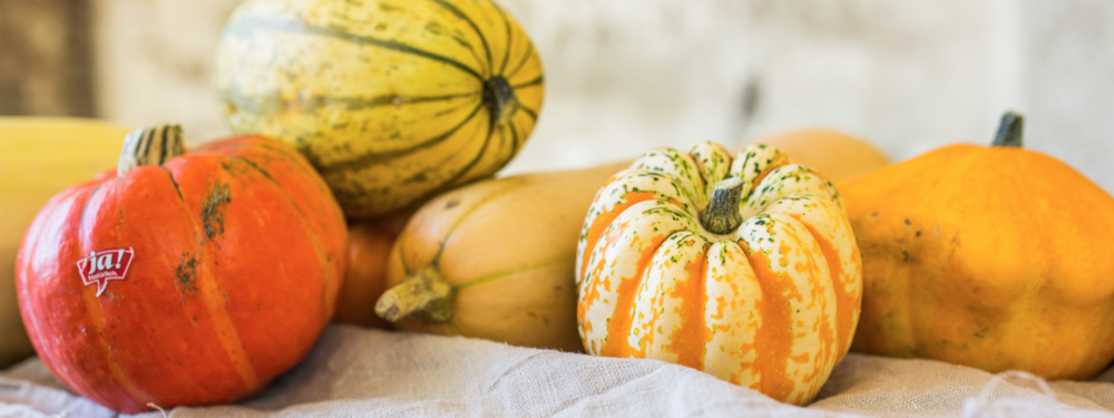 Bio-Kürbis Sortenvielfalt.