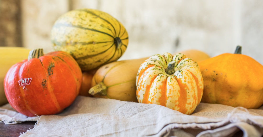 Gesunde Ernährung mit Bio-Kürbis – Rezepte und Tipps