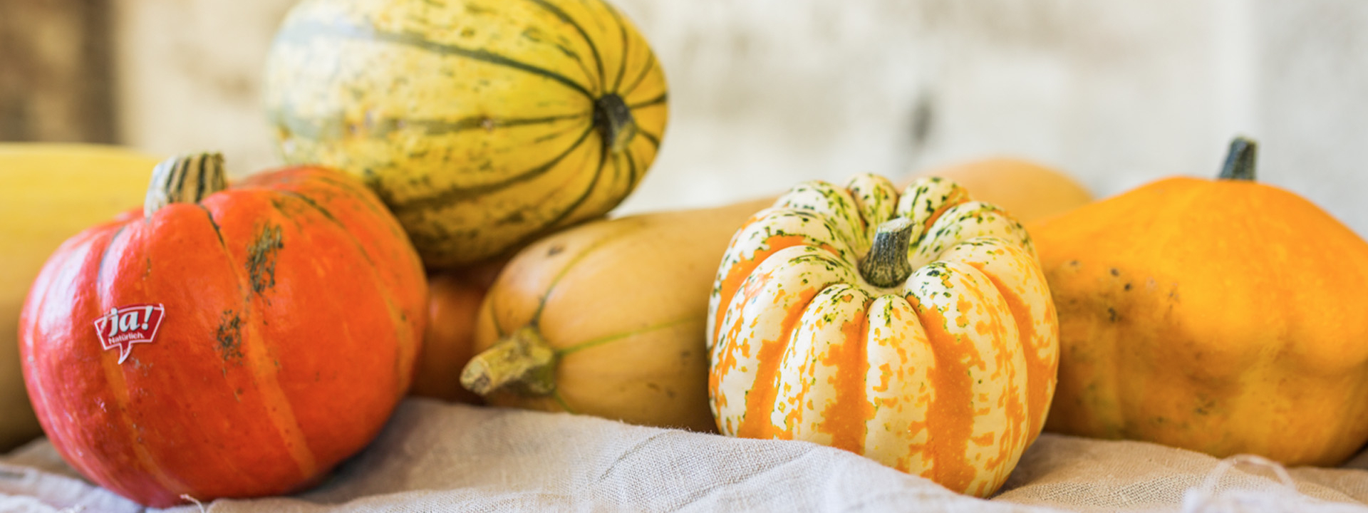 Bio-Kürbis Sortenvielfalt.