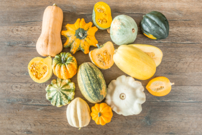 Bio-Kürbis Sortenvielfalt.