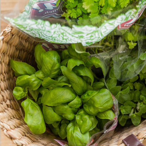 Bio-Basilikum in einem Korb.