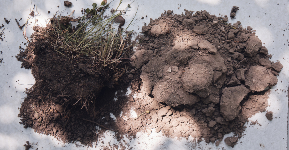 Was ist ein gesunder Boden?