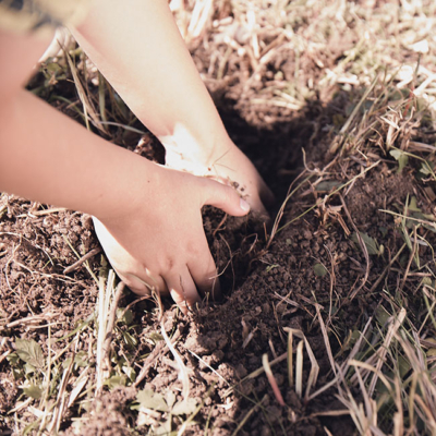 Jemand gräbt in der Erde.