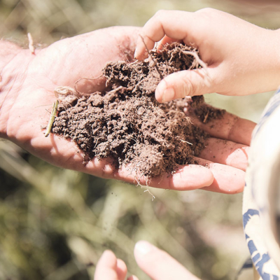 Jemand greift in entgegengehaltene Erde.