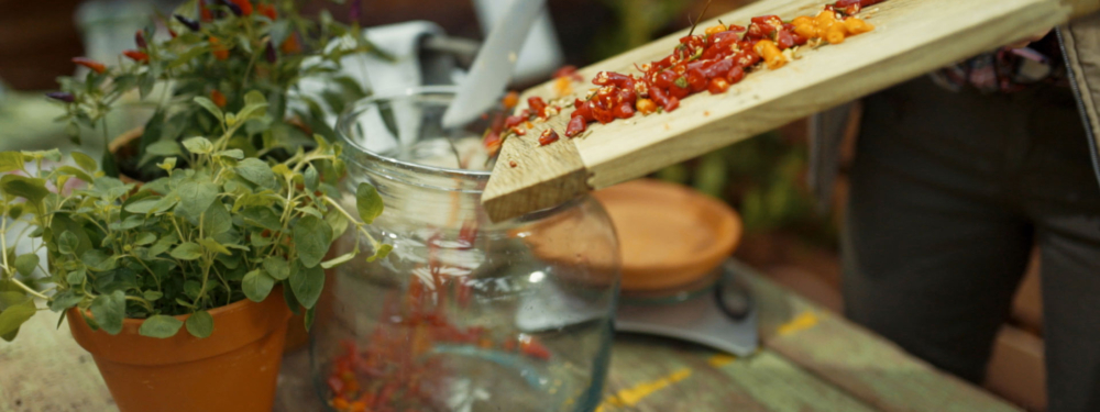 Jemand leert geschnittene Bio-Chili in ein Glasgefäß.
