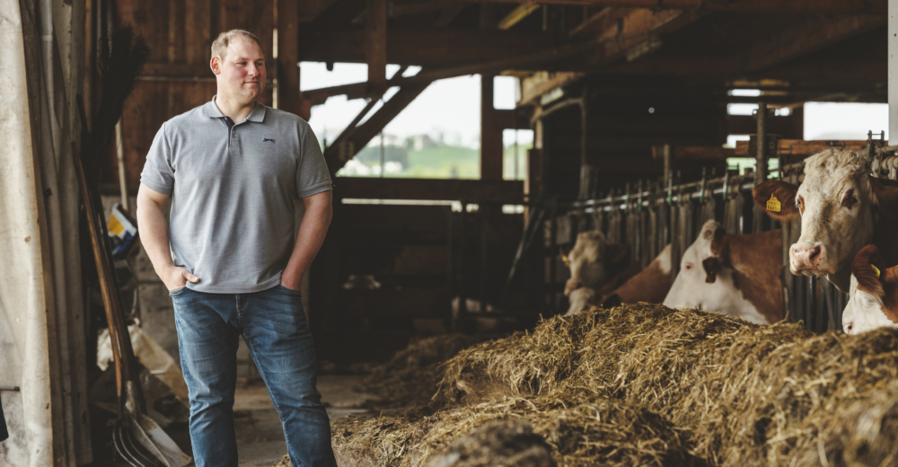 Matthias Hofer mit Bio-Weidejungrinder im Stall - Ja! Natürlich
