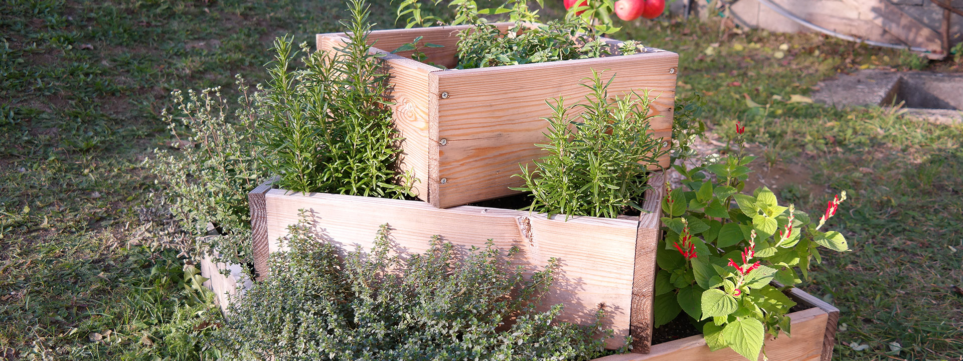 Ein Beet mit verschiedenen Kräutern.