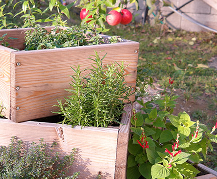 Bio-Garten auf engstem Raum – so nutzt ihr die kleinsten Flächen optimal