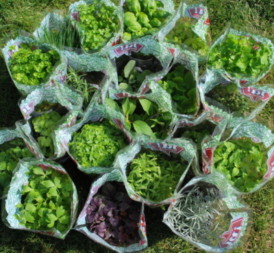 Verschiedene Kräuter von Ja!Natürlich.