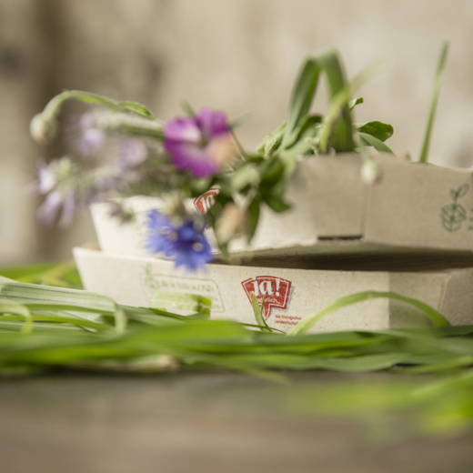 Nahaufnahme von Ja! Natürlich-Kartons mit verschiedenen Blumen.