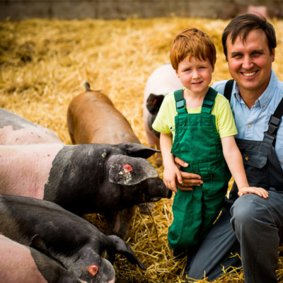 Wolfgang Gössinger mit Sohn steht zwischen Bio-Strohschweinen im Stroh