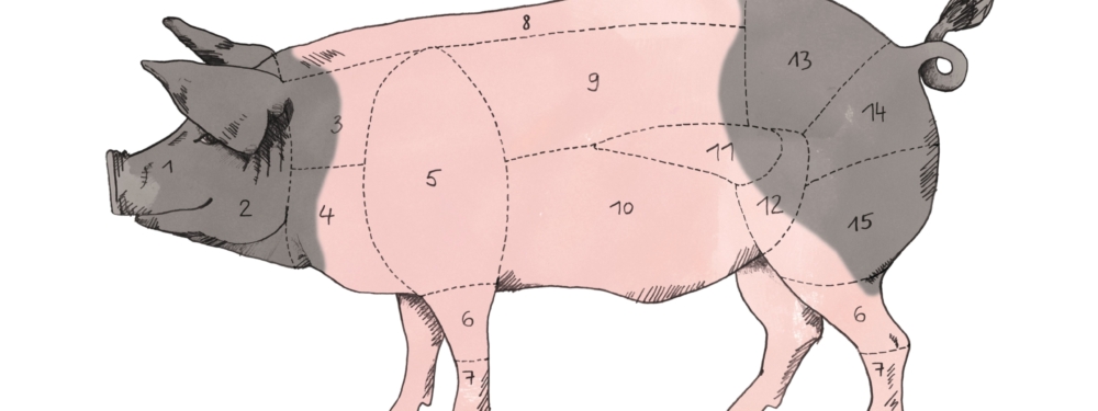 Eine Fleischzerlegungstafel eines Schweins.