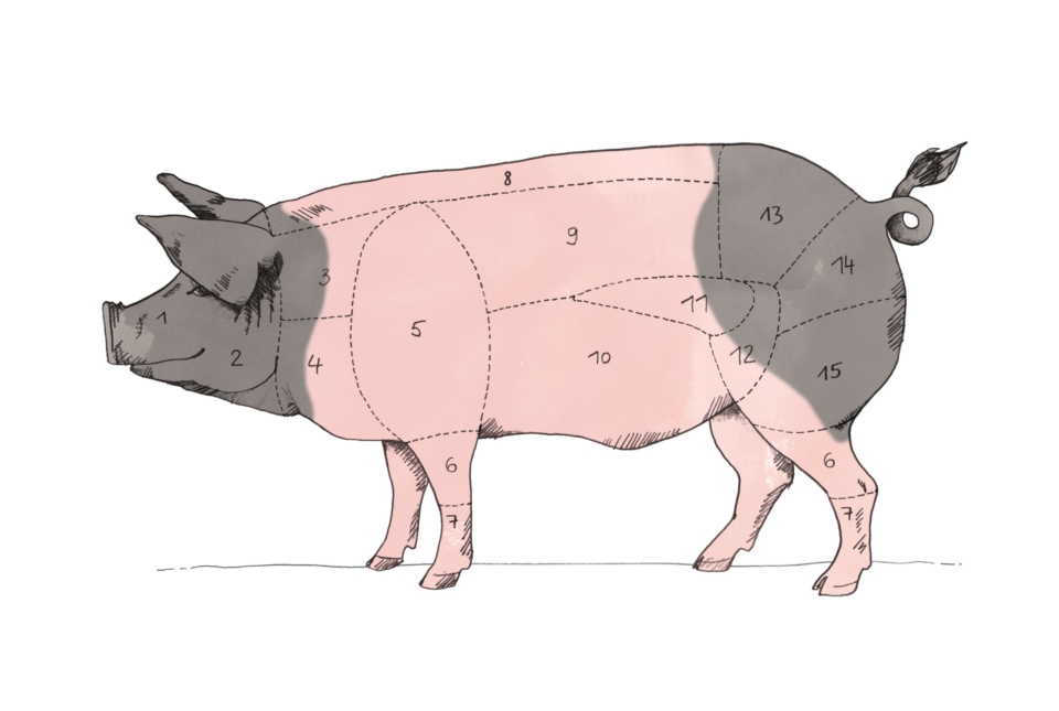 Bio-Schweinefleisch – von der Schnauze bis zum Schwanz