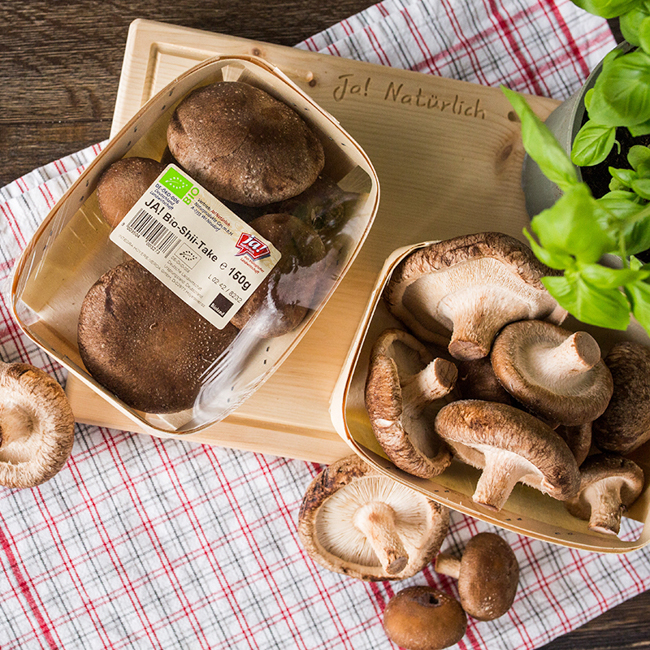 (Zucht-) Pilze – Genuss, den man nicht suchen muss