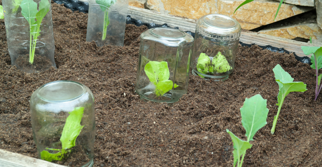 Selbstgemachter Winterschutz für deinen Garten