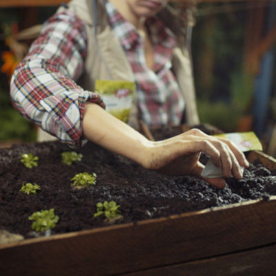 Jemand sät Saatgut in ein Hochbeet.