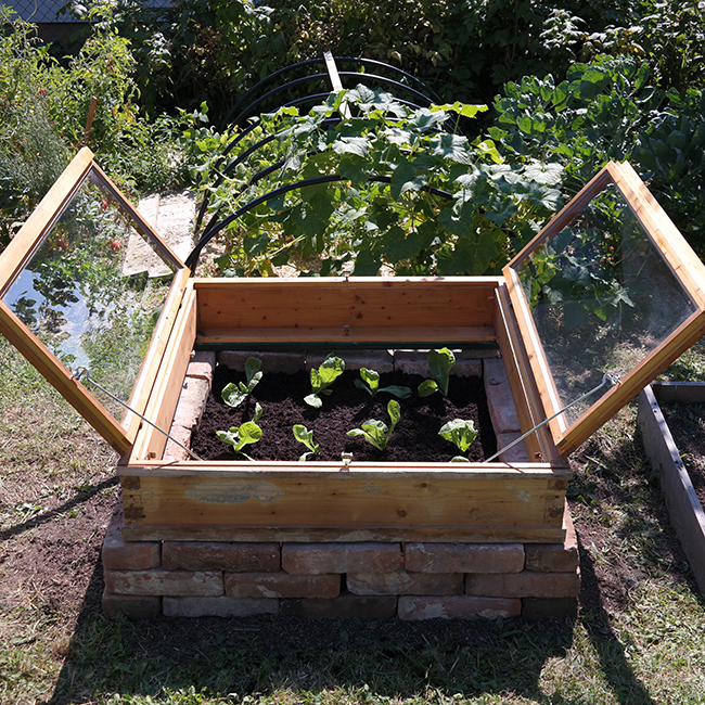 Mit Küchenabfällen düngen